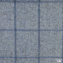 [352026] BLUE, CHECKS