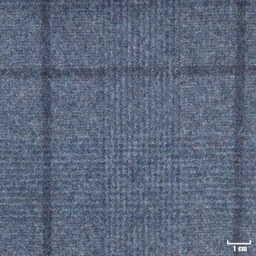 [352029] BLUE, BIG CHECKS