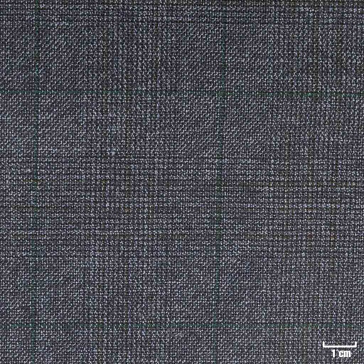 [352125] BLUE, CHECKS