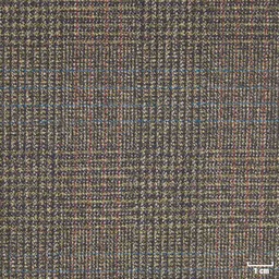 [352130] BROWN, CHECKS