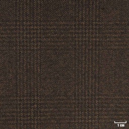[352140] BROWN, CHECKS