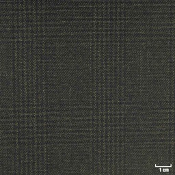 [352141] DARK GREEN, CHECKS