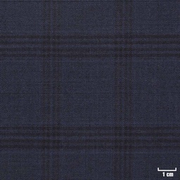 [404001] BLUE, BLACK CHECKS