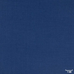 [403107] BLUE, PLAIN