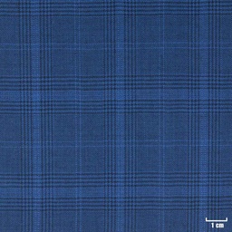 [403703] BLUE, CHECKS