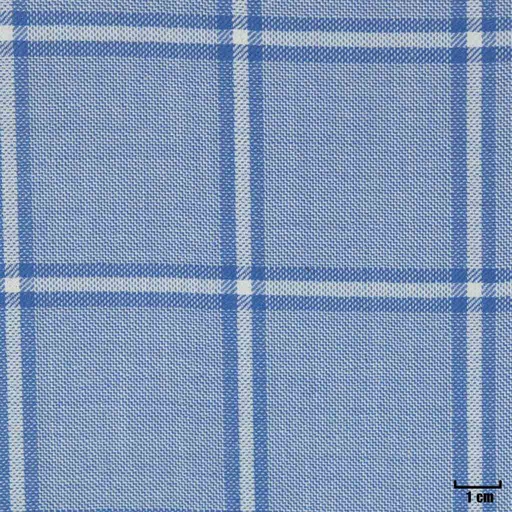 [403945] LIGHT BLUE, CHECKS