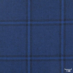[403202] BLUE, CHECKS