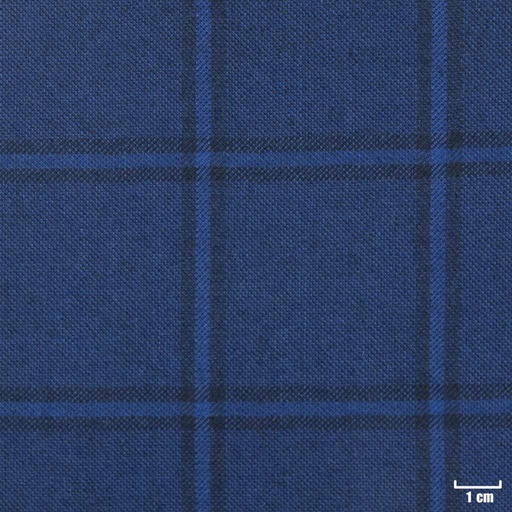 [403202] BLUE, CHECKS