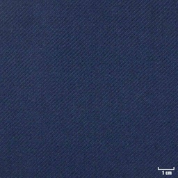 [403203] BLUE, TWILL