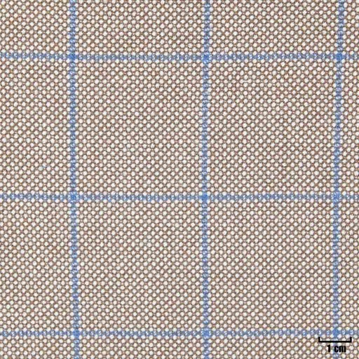 [401861] LIGHT BROWN, BLUE CHECKS