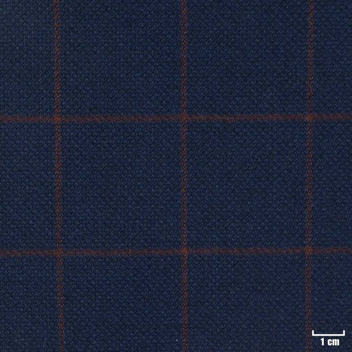 [401862] DARK BLUE, RED CHECKS