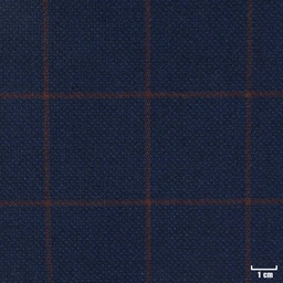 [403207] DARK BLUE, RED CHECKS