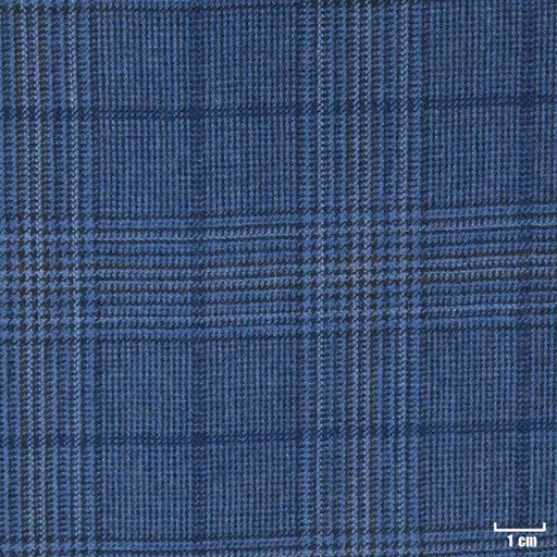 [401856] BLUE, CHECKS