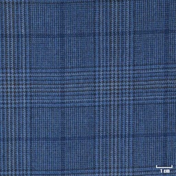 [403212] BLUE, CHECKS