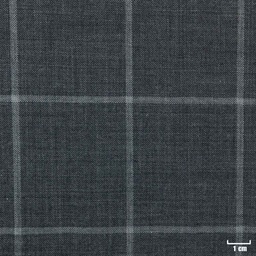 [403119] DARK GREY, CHECKS
