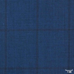 [403120] BLUE, CHECKS