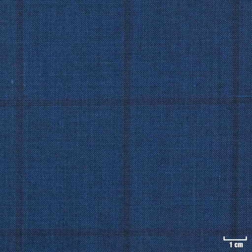 [403120] BLUE, CHECKS