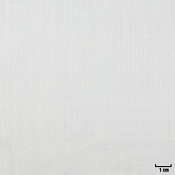 [401831] WHITE, PLAIN