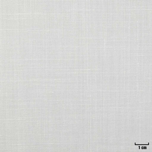 [403008] CREAM, PLAIN
