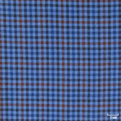 [403935] BLUE, RED CHECKS