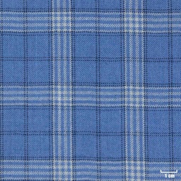 [403220] BLUE, CHECKS