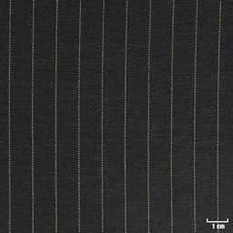 [401908] CHARCOAL, GREEN STRIPES