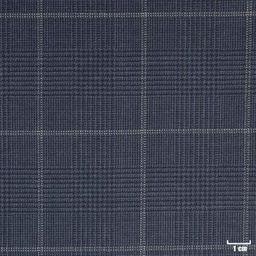 [401910] DARK BLUE, CHECKS