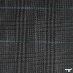 [401912] CHARCOAL, BLUE CHECKS