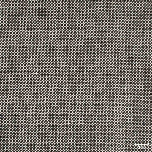 [404134] LIGHT GREY, BIRDEYE