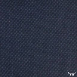 [401928] DARK BLUE, BIRDEYE