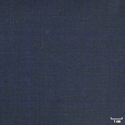 [401941] BLUE, CHECKS