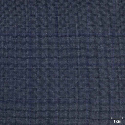 [401941] BLUE, CHECKS