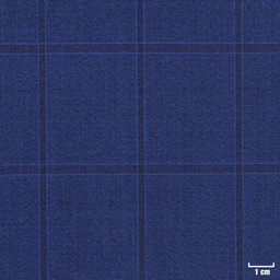 [402001] BLUE, CHECKS