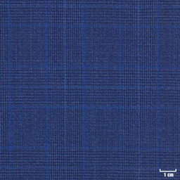 [402012] BLUE, CHECKS