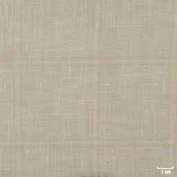 [402132] BEIGE, CHECKS