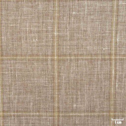 [402133] BROWN, CHECKS
