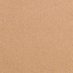 [402832] CAMEL, PLAIN