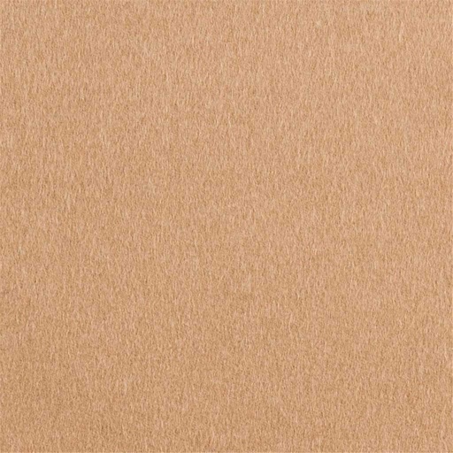 [402832] CAMEL, PLAIN