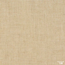 [402912] TAN, PLAIN