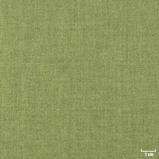 [402920] GREEN, PLAIN