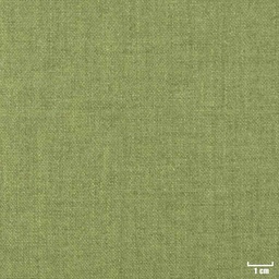 [403920] GREEN, PLAIN