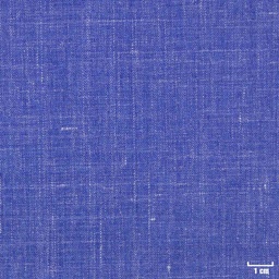 [403001] BLUE, PLAIN