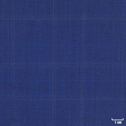 [403301] BLUE, CHECKS