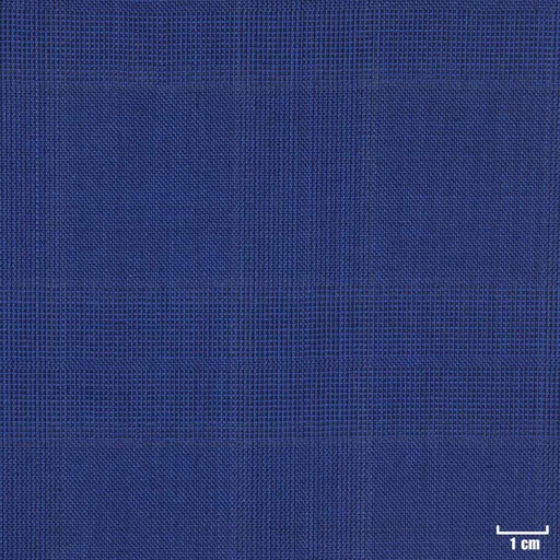 [403301] BLUE, CHECKS