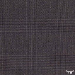 [403339] BROWN, CHECKS