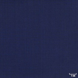 [403340] BLUE, CHECKS