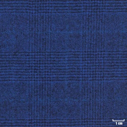 [403403] BLUE, CHECKS