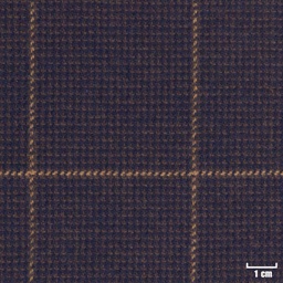 [403513] BROWN, CHECKS
