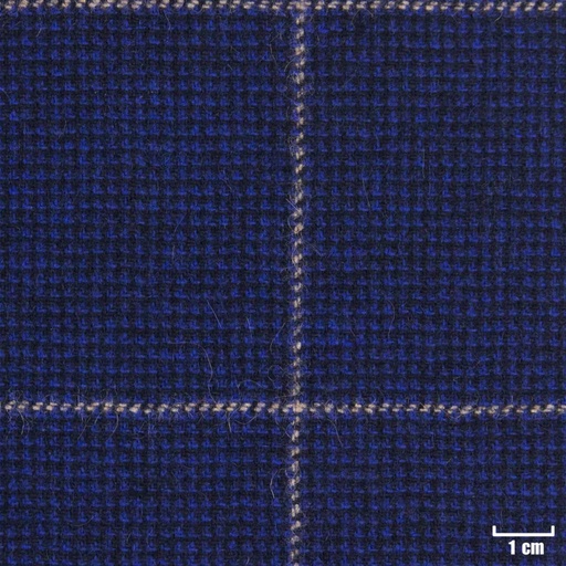 [403514] BLUE, CHECKS