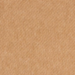 [403516] CAMEL, PLAIN